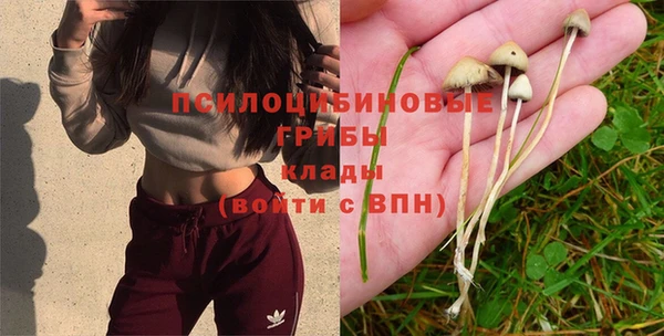 каннабис Абаза