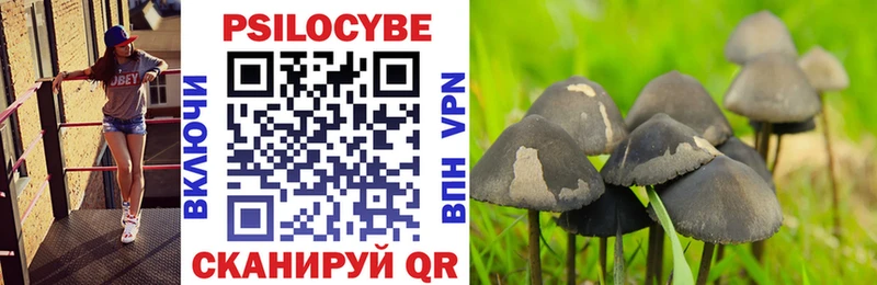 Галлюциногенные грибы Magic Shrooms  даркнет сайт  Шали 